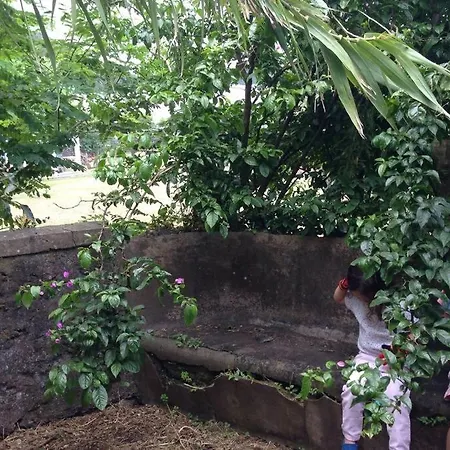 Chalé Quinta Três Plátanos Ponta Delgada